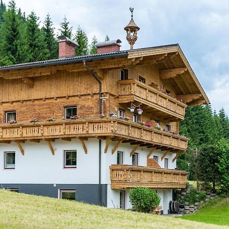 Kesselgrubs Apartements Ski & Badeglueck Eben Im Pongau Eksteriør billede