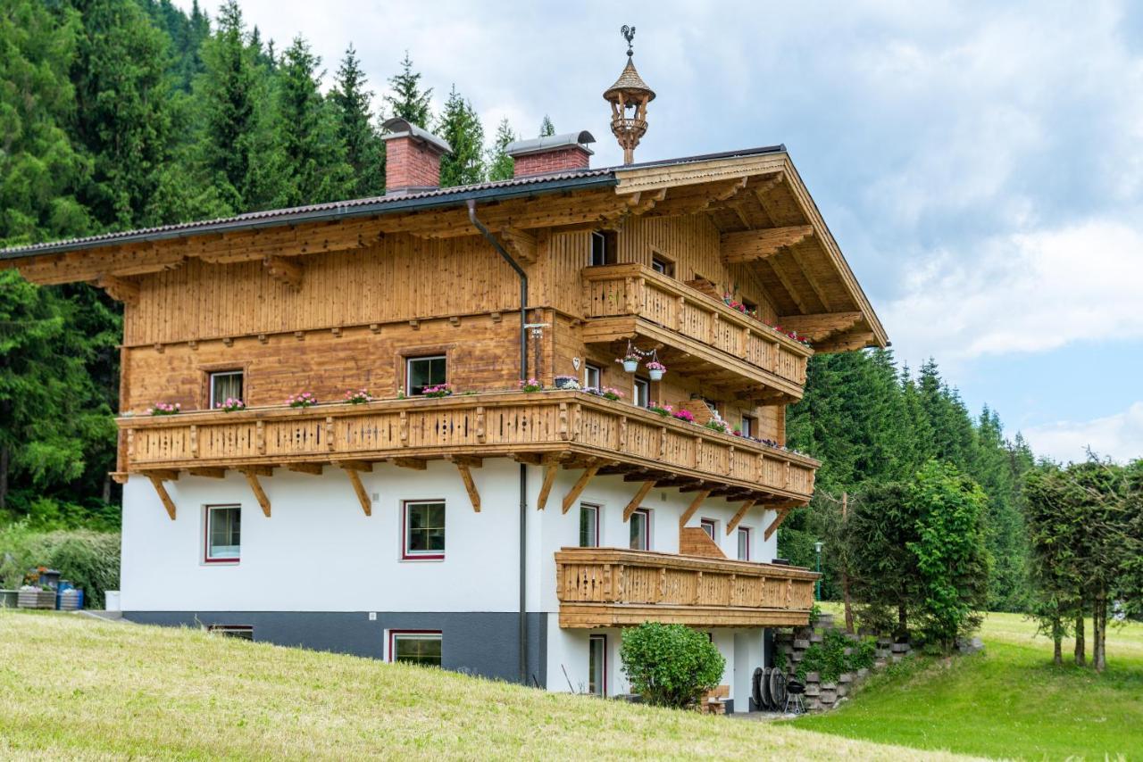Kesselgrubs Apartements Ski & Badeglueck Eben Im Pongau Eksteriør billede
